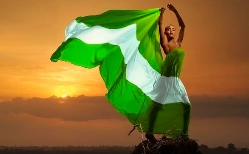 vtpass, Nigeria flag