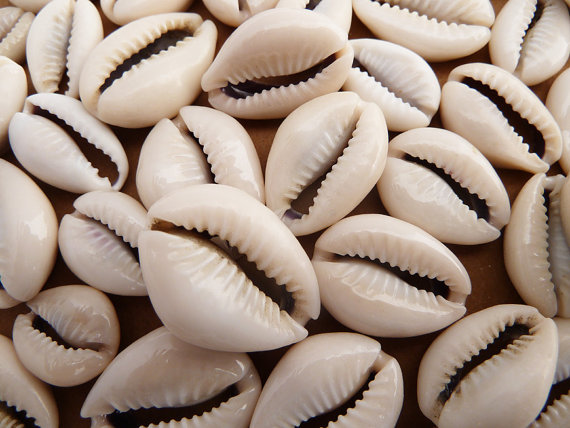 cowry,currency