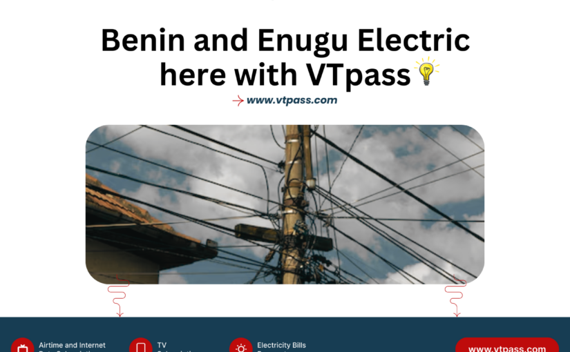 Electricity Distribution in Nigeria: Benin Electric and Enugu Electric